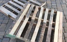 Sally Forgette (sallyf425)