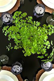 Guinness beer, olive oil, all purpose flour, freshly ground black pepper and 12 more. Irish Dinner Party Menu