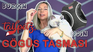 kediyle seyahat ederken tuvalet sorunu alice buzgulu kedi kumu torbasi burcin odin youtube