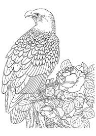 Eisenbahn bilder zum ausmalen eulen zum. Ausmalbild Adler Und Rose Zum Ausdrucken