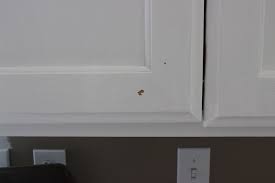 Does rustoleum cabinet transformations work on laminate. My Kitchen Failure And Rustoleum Cabinet Transformations