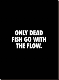Only Dead Fish Go With The Flow Stretched Canvas Print Brett Wilson Art Com Wisdom Quotes Relationship Quotes True Quotes