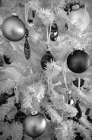 We did not find results for: Black And White Christmas Tree Ornaments Photograph By Aimee L Maher Alm Gallery