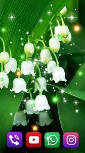 Download lily of the valley wallpaper for android on aptoide right now! Forest Lilies Live Wallpaper For Android Forest Lilies Free Download For Tablet And Phone