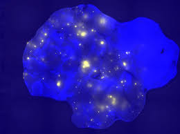 Blue orchids), it creates the perfect combination that represents royalty. Study Details A Link Between Inflammation And Cancer Mit News Massachusetts Institute Of Technology