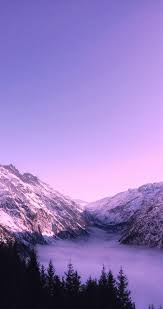 Purple Wallpapers Free Hd Download 500 Hq Unsplash Here's to the weekend, cheers!! purple wallpapers free hd download