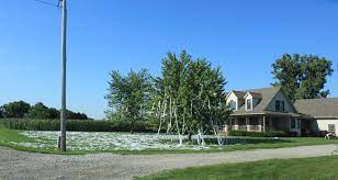 25 Ways To Annoy Your Neighbors Dengarden