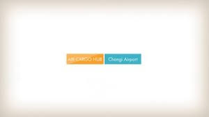 Awalnya direka untuk menjadi lapangan terbang terbesar di dunia, ia mampu mengendalikan lebih 50 juta penumpang setiap tahun. Flughafen Singapur Sin Wsss In Singapur Abflug Info