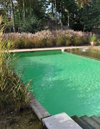 Tout Savoir Sur Les Piscines Naturelles Elle Decoration