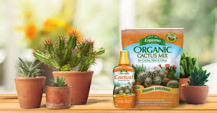 Greetings, for years i have been buying the organic cactus mix. Espoma Organic Cactus Indoor Plant Fertilizer 8 Oz Concentrate Walmart Com Walmart Com