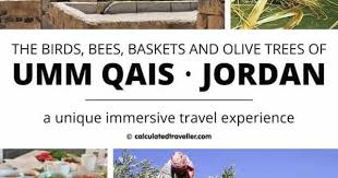 The Birds Bees Baskets And Olive Trees Of Umm Qais Jordan Middle Eastern Travel Travel Experience Jordan Travel