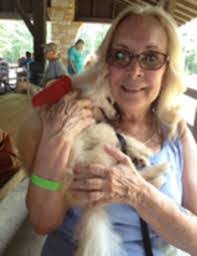 Deborah Mancuso's Instagram, Twitter & Facebook