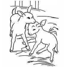 We did not find results for: Top 25 Free Printable Goat Coloring Pages Online