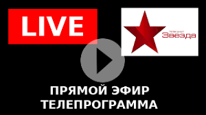 смотреть матч тв в прямом эфире бесплатно в хорошем качестве Zvezda Onlajn Smotret Translyaciyu Besplatno
