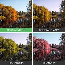 We did not find results for: You Ll Be Amazed How People With Color Blindness See The World 57 Pics Bored Panda