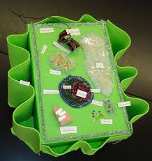 3d Animal Cell Model 3d Plant Cell Model In A Shoebox 3d Model Of Plant Cell Using Household Items Types O Plant Cell Project Plant Cell Animal Cell Project