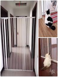 A newborn kitten sleeps with its head tucked under its chest for the first 48 hours of life. No Drill Cat Pets Safety Gate Pet Supplies For Cats Cat Accessories On Carousell