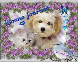 Résultat de recherche d'images pour "bon soirée du lundi"