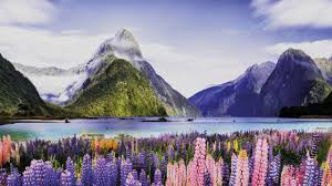 The average cost of living in new zealand is not so attractive. New Zealand Australia Trans Tasman Travel Bubble Escape Com Au