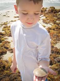 Family Road Trip, Beach Edition