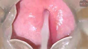 Cumshot inside fleshlight