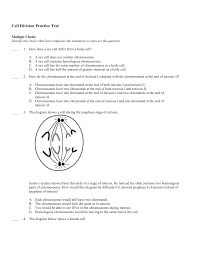 Interphase p = prophase c. Cell Division Practice Test