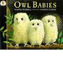 Owl Babies Martin Waddell 9780744531671 Baby Owls Owl Babies Book Owl Books