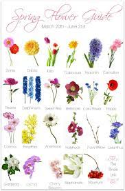 Each must be individually wired or placed onto a special holder before it can be used in a bouquet or boutonniere. Spring Flower Guide Are You Planning A Spring Wedding If So This Spring Flower Guide Is A Must Have Wedding Flower Guide Flower Guide Spring Flowers