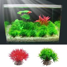 In order to ask such a question, please click this link! Buy Simulation Water Grass Aquarium Decor Landscaping Decoration Artificial Plants For Fish Tank Ornament 1pc At Affordable Prices Free Shipping Real Reviews With Photos Joom