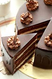 Pin By U On Dulciuri Cake Recipes Fancy Desserts Chocolate Desserts