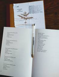 Martedì a scuola ho fissato la porta della sua classe,chiusa, e ho sperato che lei uscisse e mi salutasse.ma poi ho osservato il cielo e ho visto un sorriso,ho chiuso gli occhi e ho sentito un bacio e un abbraccio,ma poi riaprendoli non c' era nessuno vicino me; Carte Nel Vento