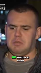 Mirza Hatic Bascarija