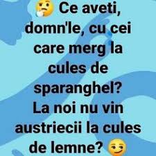 The meme gained popularity in /r/jerma985 subreddit and in the streamer's discord, later spreading to twitter and instagram. Nuser Nuser19 Profile Pinterest