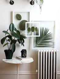 Create your own picture frame planter blooming with a mosaic of live succulents and moss. Diy Pressed Plant Frame Alana Jones Mann