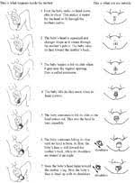 Do Baby Move Alot During Contractions