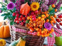 Dekorieren Im Herbst Alpenveilchen Alpenveilchen Herbstliche Tischdekorationen Herbst Dekoration