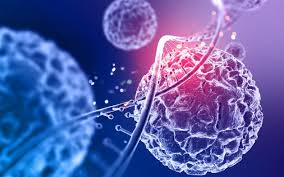 Oncology & Biotech