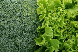 Plants in the wrong location drastically affect their ability to grow. Fall Garden What To Plant For The Fall Planting Dates For Second Crops The Old Farmer S Almanac