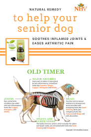 Dog Back Pain