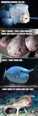 You Think You Deserve 15 Dollar An Hour Meme Sea Fish Plenty Of Fish Pet Fish