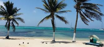 We did not find results for: 7 Fun Things To Do In San Pedro Belize Can Travel Will Travel