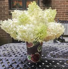 We did not find results for: 5 Easy Summer Flower Arrangements Hearth And Vine
