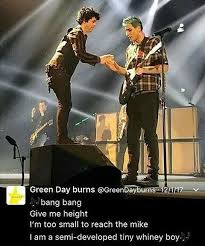 Don T Hurt Him Please Green Day Meme Green Day Billie Joe Armstrong