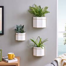 How much light will it need? Wall Mounted Planters You Ll Love In 2021 Wayfair