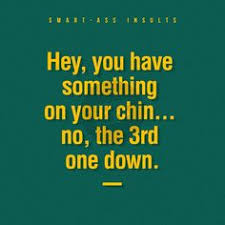Some people come into your life as a blessing as others come as life lessons. 40 Roasts Ideas Comebacks And Insults Funny Insults Funny Comebacks