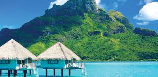 [Hình: images?q=tbn:ANd9GcQi7X9ShXqJeDQqBA1DzOd...Q&usqp=CAU]