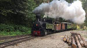 Deci…in viseul de sus gasesti mocanita. Mocanita Train Beautiful Day Trip In Viseu De Sus Maramures Youtube