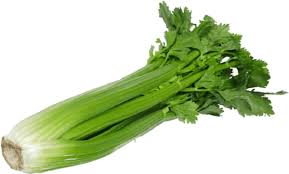 Celery is high in nutritional value as it contains calcium, potassium, phosphorus, sodium and iron, and vitamins a, b, c. Can My Dog Eats Celery Petcare Pet Insurance