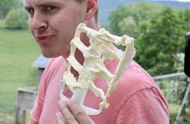 ice cream comprehensive