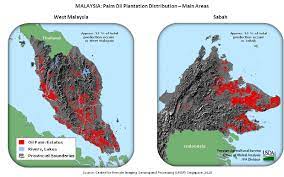 All plantation jobs in malaysia on careerjet.com.my, the search engine for jobs in malaysia. Malaysia Palm Oil June2011